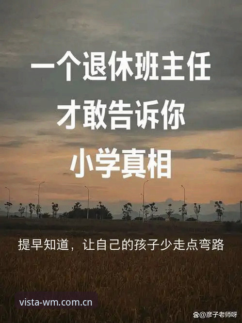 完美体育wm登录怎么样 揭秘完美体育WM登录背后的创新体验:你不知道的流畅与安全真相