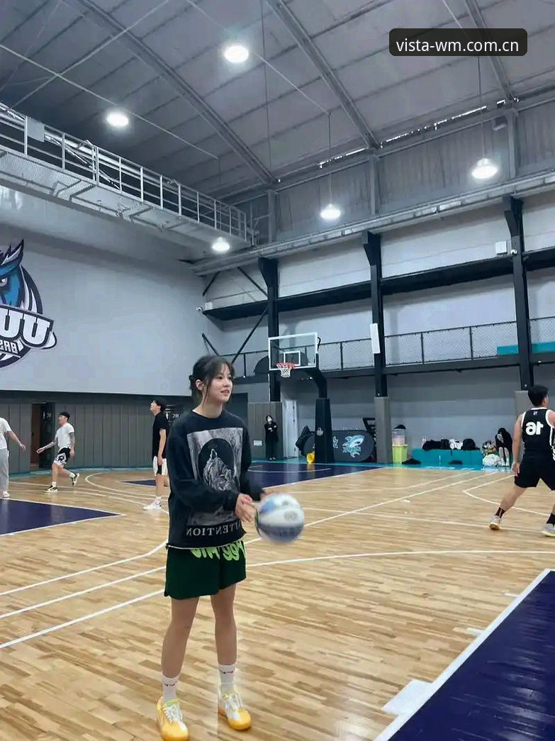 完美体育wm平台 完美体育官网与wm平台使用详解